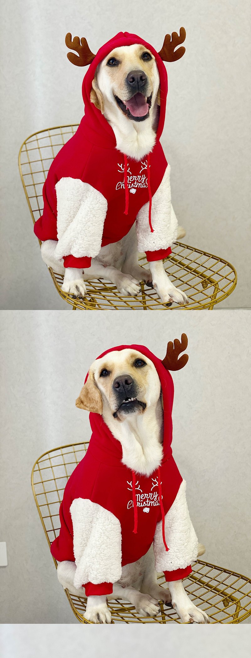 STAYPAW Holiday Reindeer Dog Hoodie, Warm Fleece-Lined Winter Sweatshirt - Detail 2