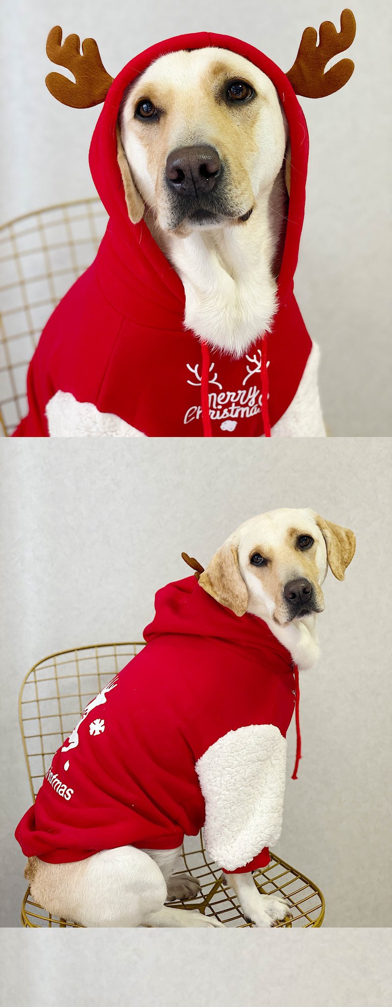 STAYPAW Holiday Reindeer Dog Hoodie, Warm Fleece-Lined Winter Sweatshirt - Detail 3