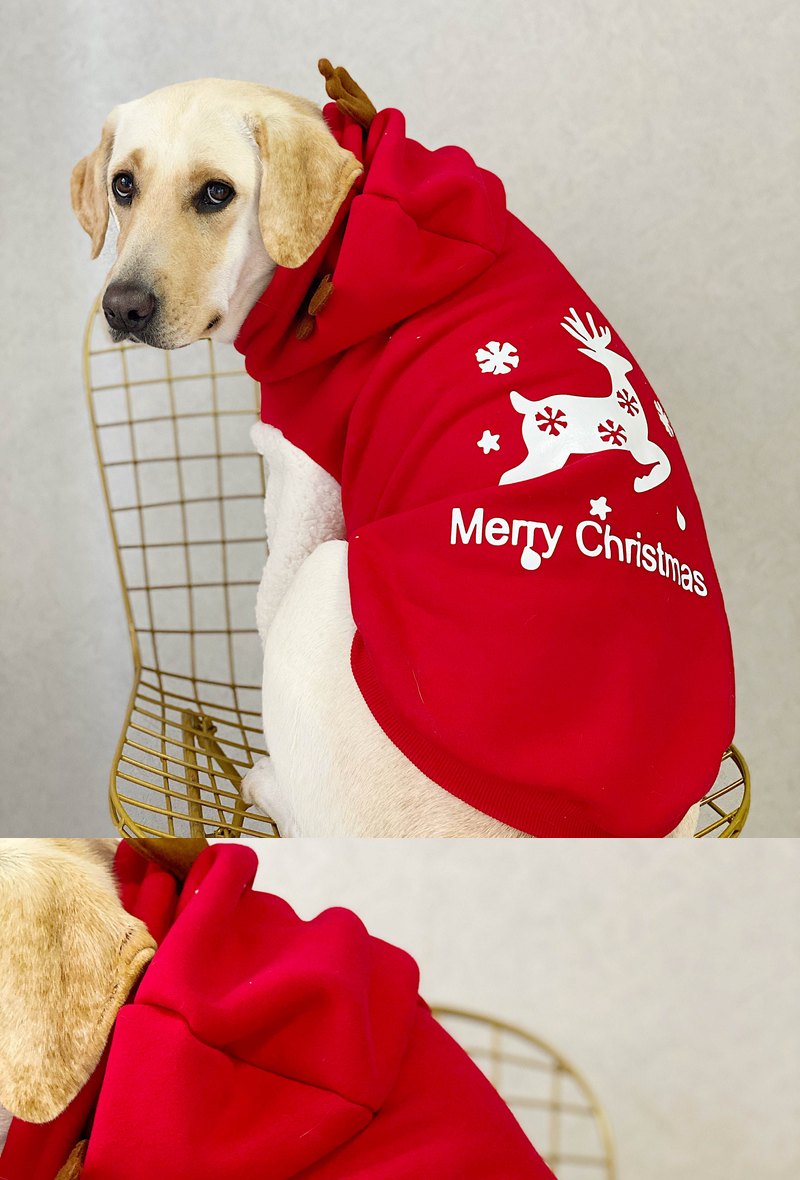 STAYPAW Holiday Reindeer Dog Hoodie, Warm Fleece-Lined Winter Sweatshirt - Detail 4