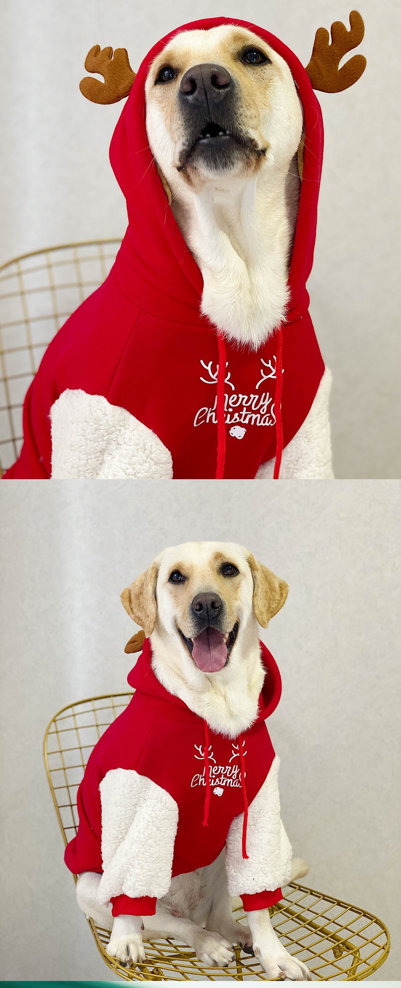 STAYPAW Holiday Reindeer Dog Hoodie, Warm Fleece-Lined Winter Sweatshirt - Detail 6