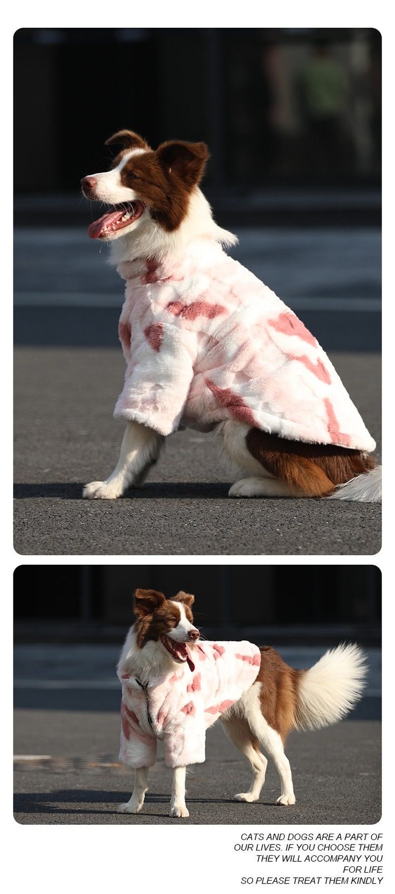 STAYPAW Warm Winter Padded Dog Coat, Insulated Fleece Jacket for Medium and Large Dogs - Detail 6