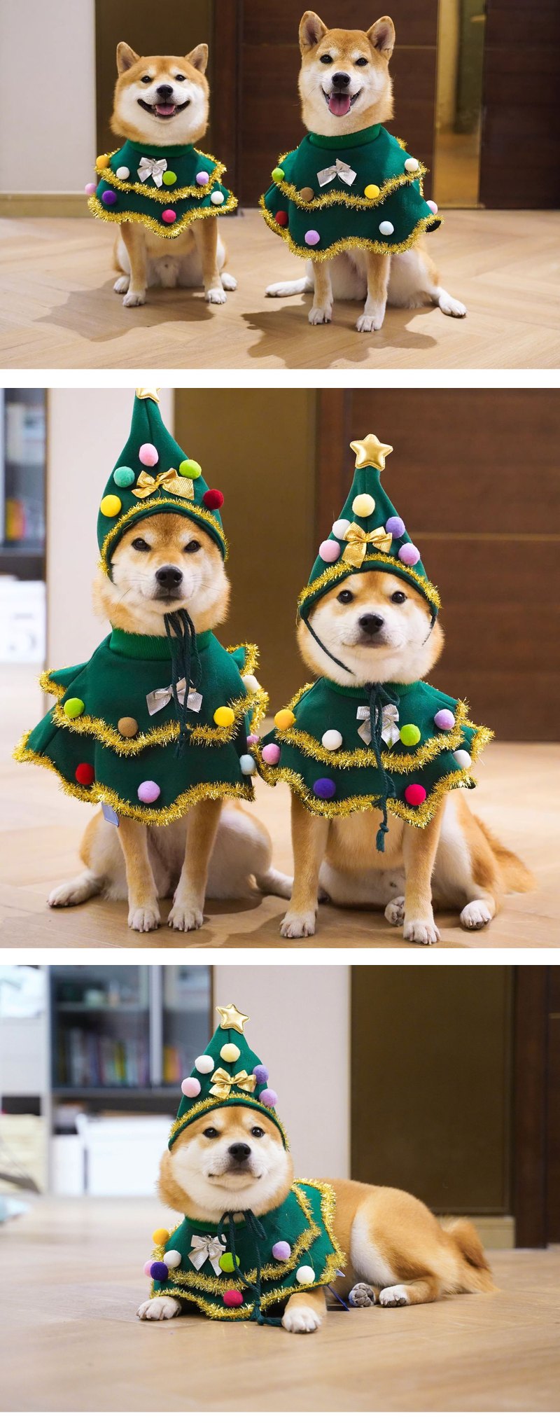 STAYPAW Walking Christmas Tree Dog Costume Set, Festive Holiday Scarf & Hat - Detail 5