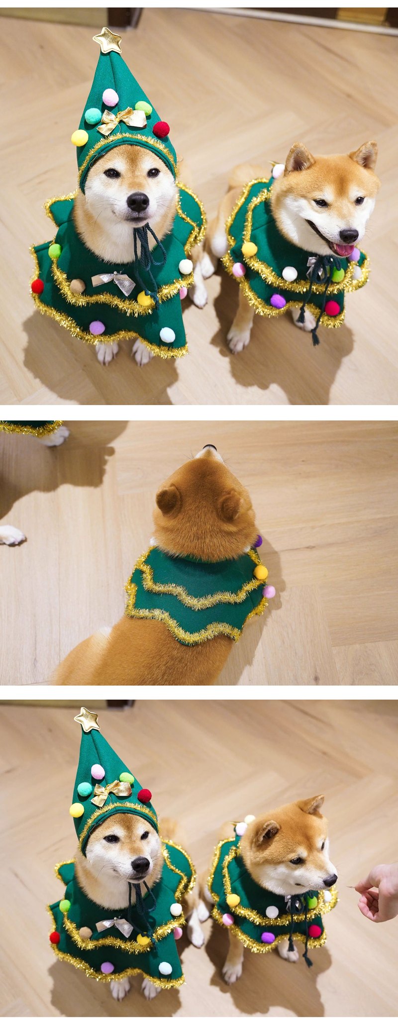 STAYPAW Walking Christmas Tree Dog Costume Set, Festive Holiday Scarf & Hat - Detail 6