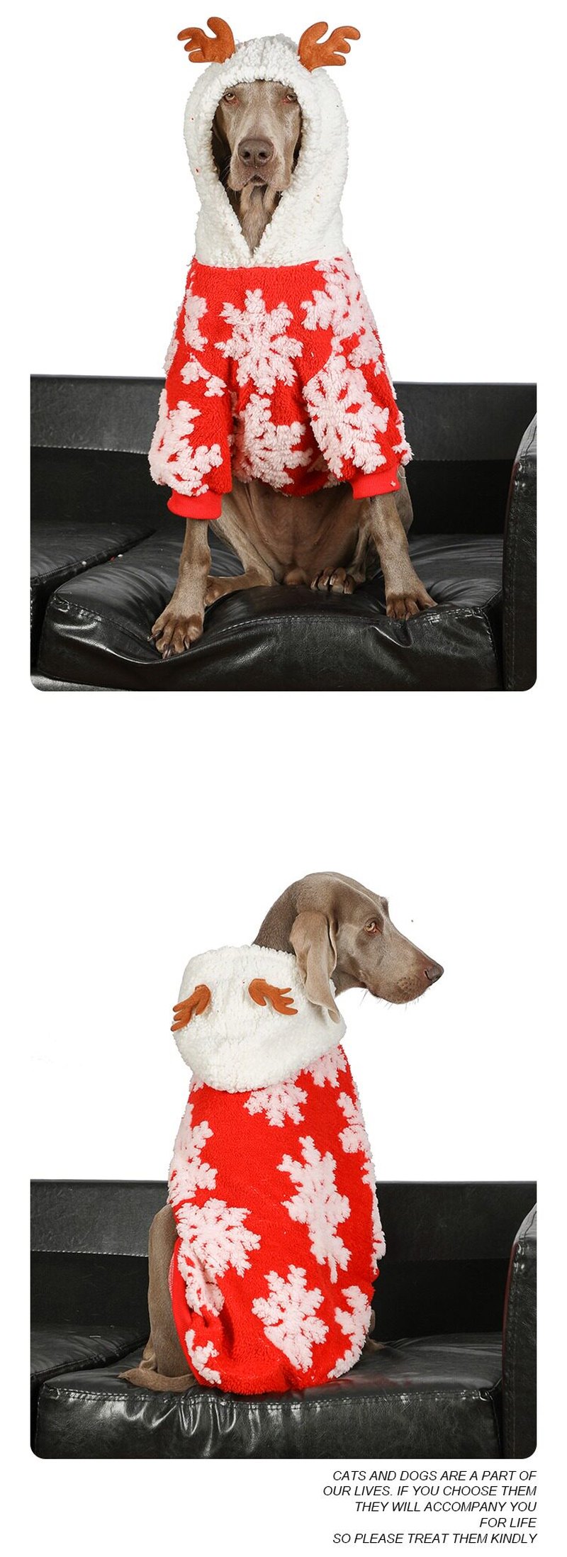 STAYPAW Festive Red Winter Warm Dog Fleece Coat for Small to Large Breeds - Detail 3
