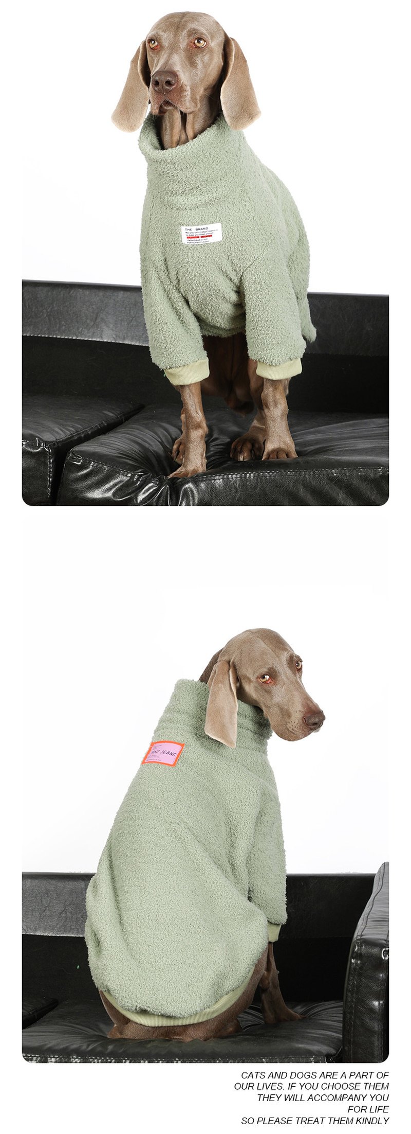 STAYPAW Warm Winter Fleece Dog Jacket Thickened Cold Weather Coat for Large Dogs - Detail 3