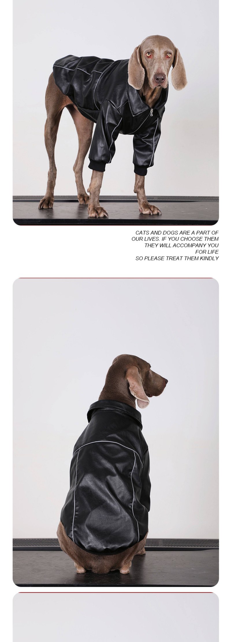 STAYPAW Faux Leather Dog Jacket Windproof Winter Coat for Medium & Large Dogs - Detail 4