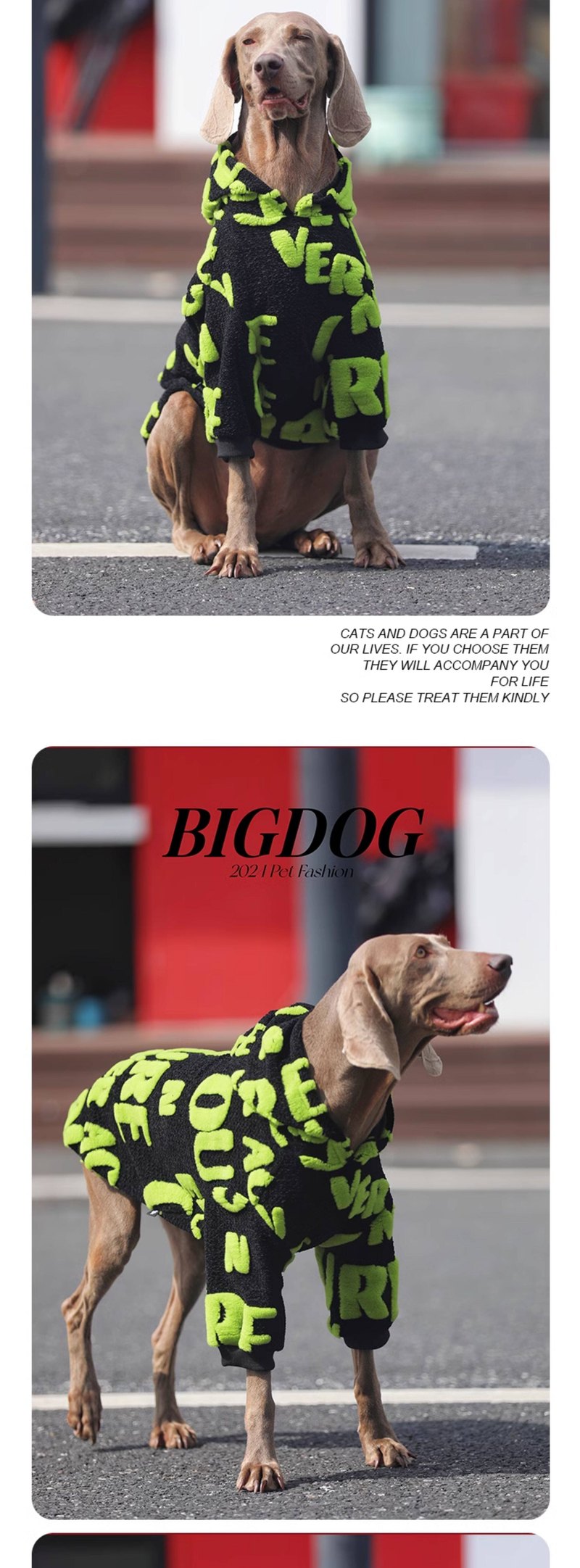 STAYPAW Heavyweight Sherpa Lined Dog Winter Jacket with Hood for Medium & Large Dogs - Detail 5