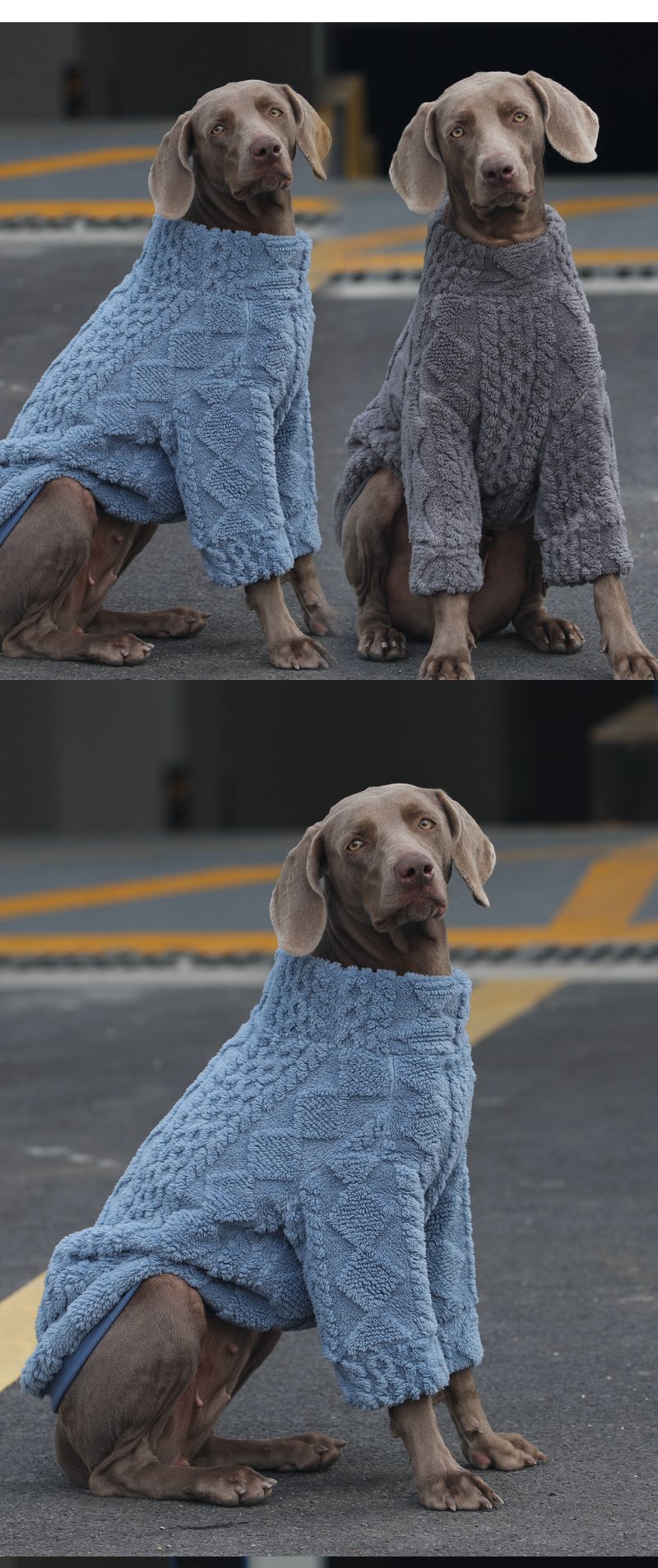 STAYPAW Double-Sided Thickened Winter Dog Pajamas with Belly Protection - Detail 2