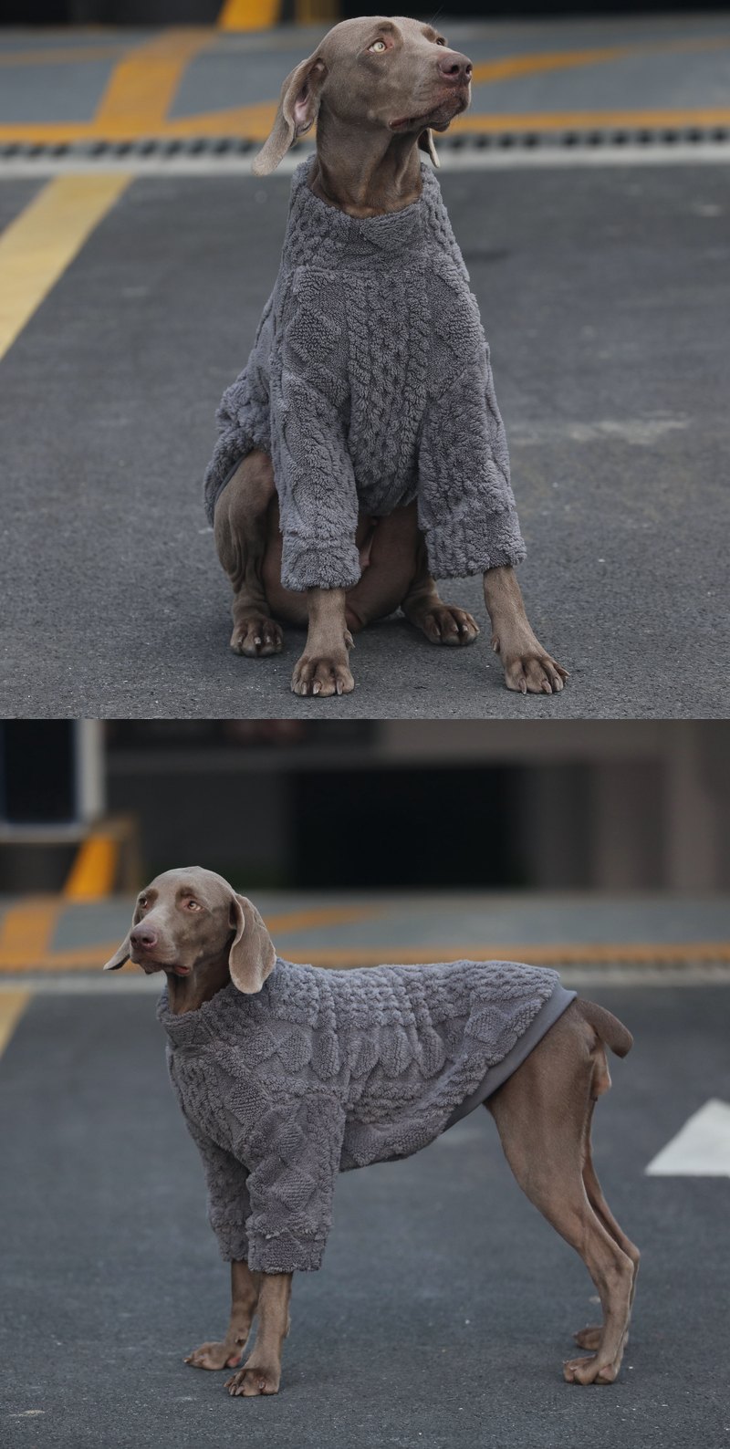 STAYPAW Double-Sided Thickened Winter Dog Pajamas with Belly Protection - Detail 4