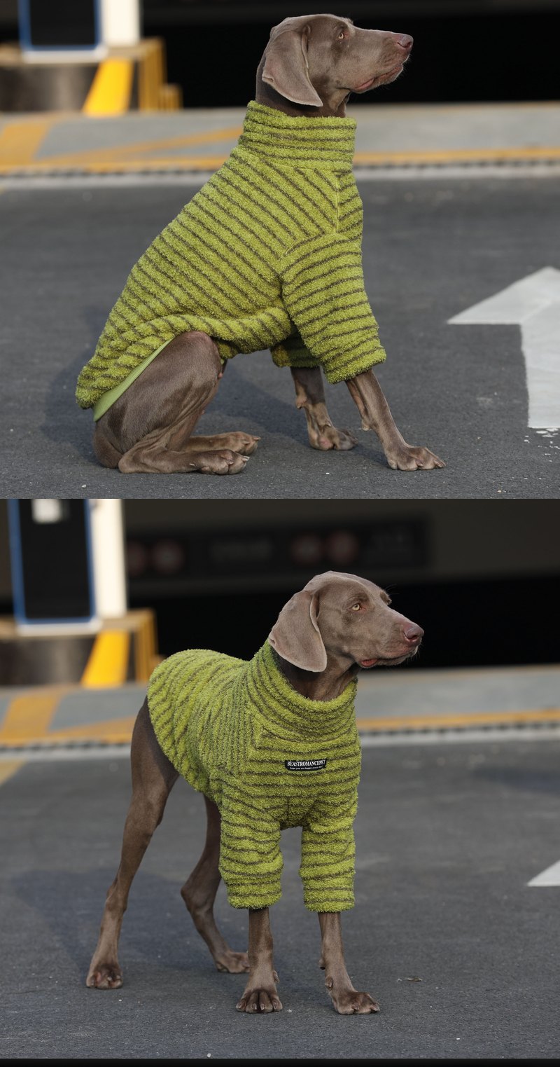 STAYPAW Warm Fleece Striped Dog Shirt, Cozy Cotton Base Layer for All Breeds - Detail 3