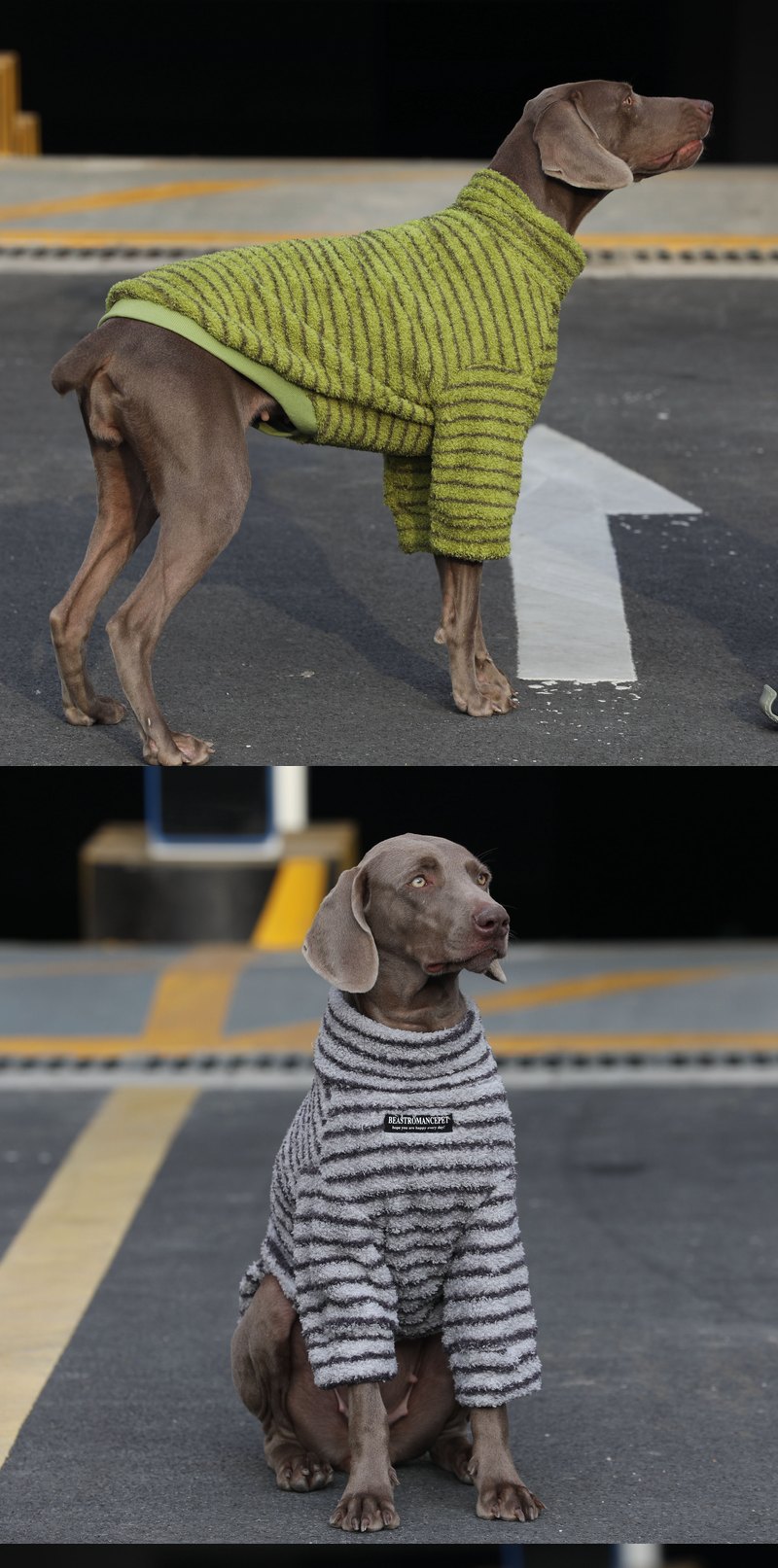 STAYPAW Warm Fleece Striped Dog Shirt, Cozy Cotton Base Layer for All Breeds - Detail 4