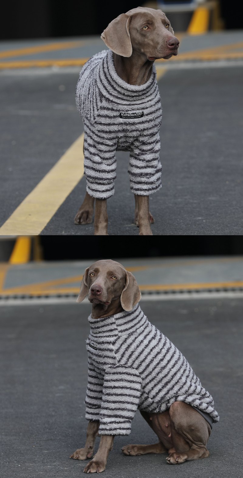STAYPAW Warm Fleece Striped Dog Shirt, Cozy Cotton Base Layer for All Breeds - Detail 5