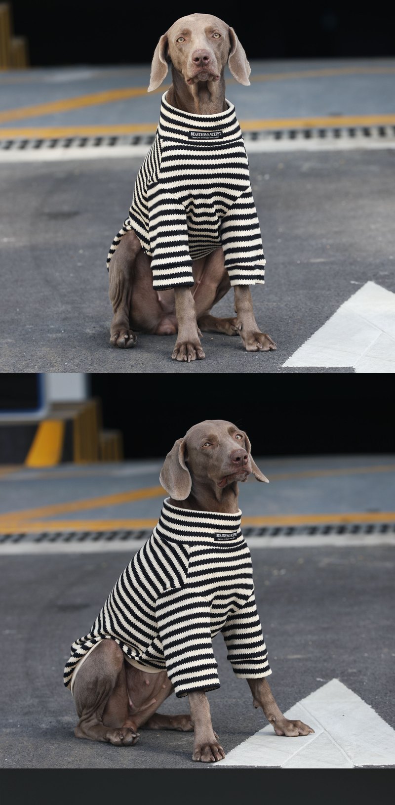 STAYPAW Striped Dog Turtleneck Knit Sweater Warm Winter Base Layer Shirt - Detail 2