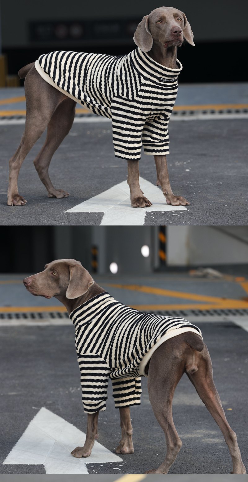 STAYPAW Striped Dog Turtleneck Knit Sweater Warm Winter Base Layer Shirt - Detail 3
