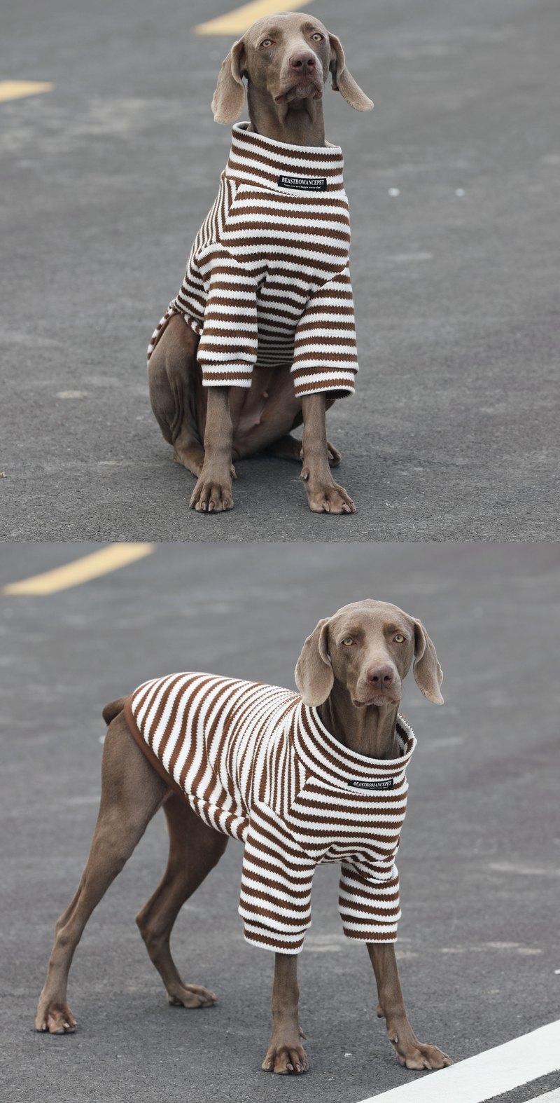 STAYPAW Striped Dog Turtleneck Knit Sweater Warm Winter Base Layer Shirt - Detail 4