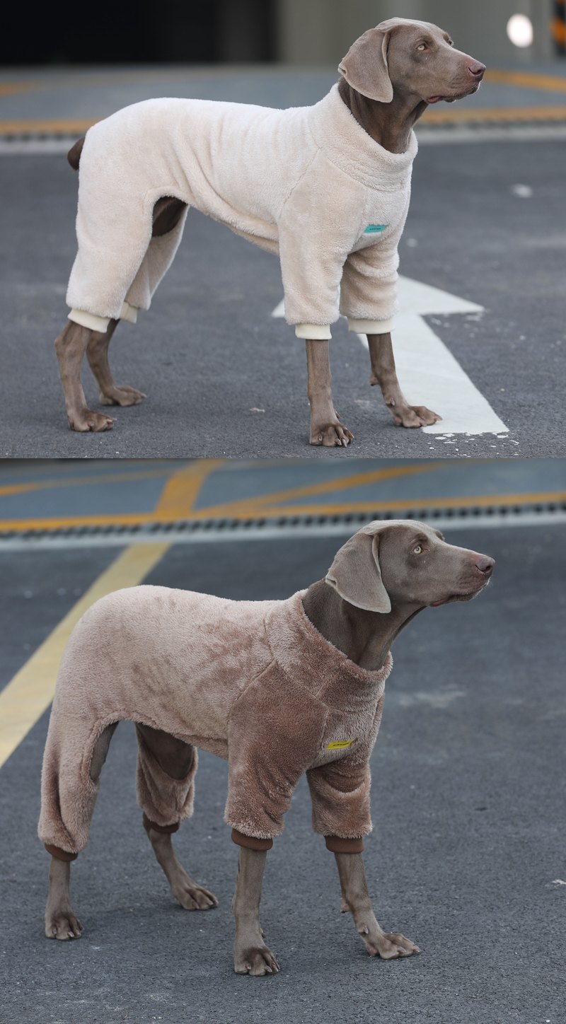 STAYPAW Thermal Coral Fleece Four-Legged Dog Pajamas & Winter Bodysuit - Detail 3