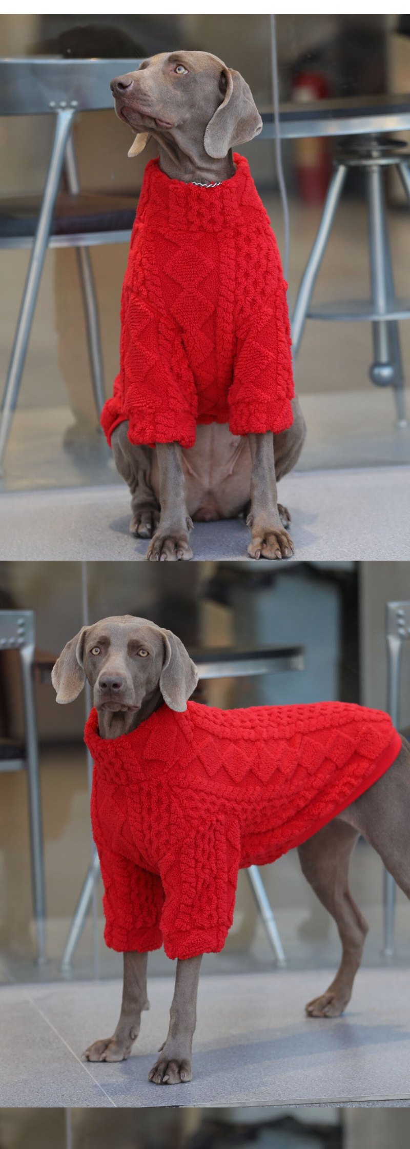 STAYPAW Cozy Fleece Dog Sweatshirt Thermal Base Layer for Small to Large Dogs - Detail 2