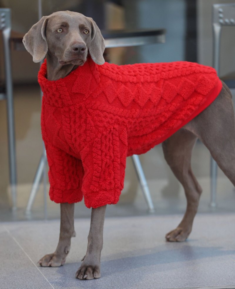 STAYPAW Cozy Fleece Dog Sweatshirt Thermal Base Layer for Small to Large Dogs - Detail 3