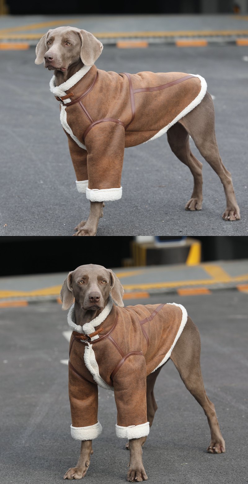 STAYPAW Warm Suede Dog Winter Jacket Padded Cold Weather Coat for All Breeds - Detail 3