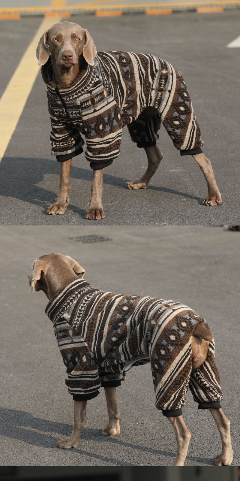 STAYPAW Retro Geometric Quilted Dog Coat Thermal Padded Cold Weather Jacket - Detail 3