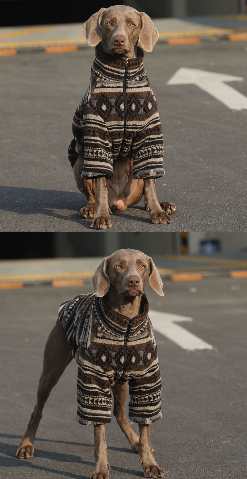 STAYPAW Retro Geometric Quilted Dog Coat Thermal Padded Cold Weather Jacket - Detail 4