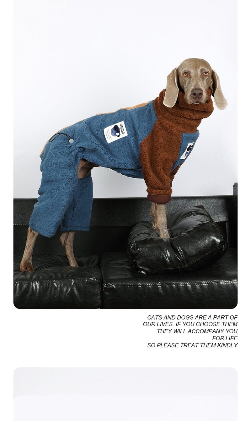 STAYPAW Large Dog Winter Fleece Bodysuit Warm Colorblock Four-Legged Jumpsuit - Detail 5
