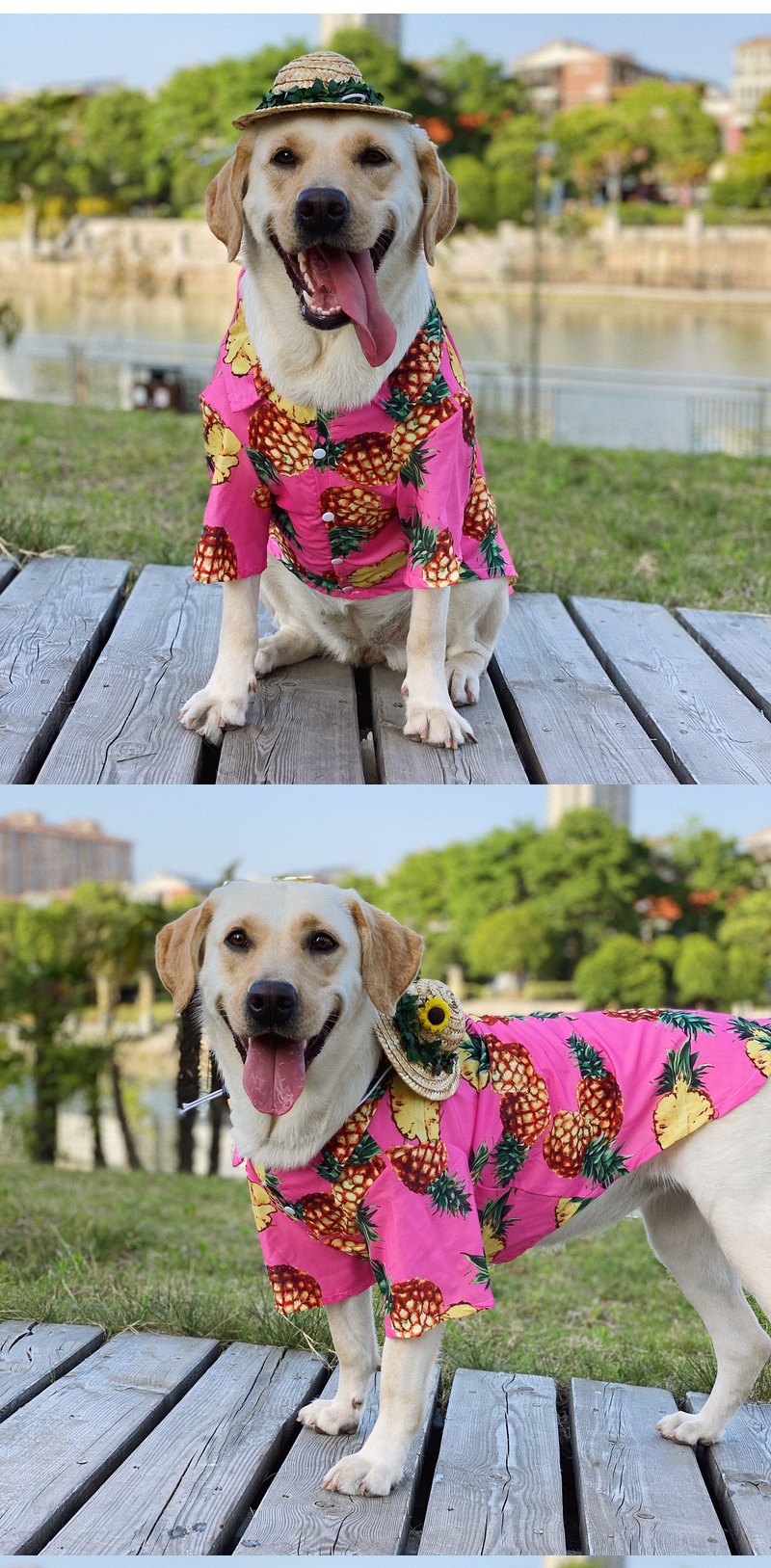 STAYPAW Summer Pineapple Breathable Sun Protection Dog Shirt for All Sizes - Detail 2