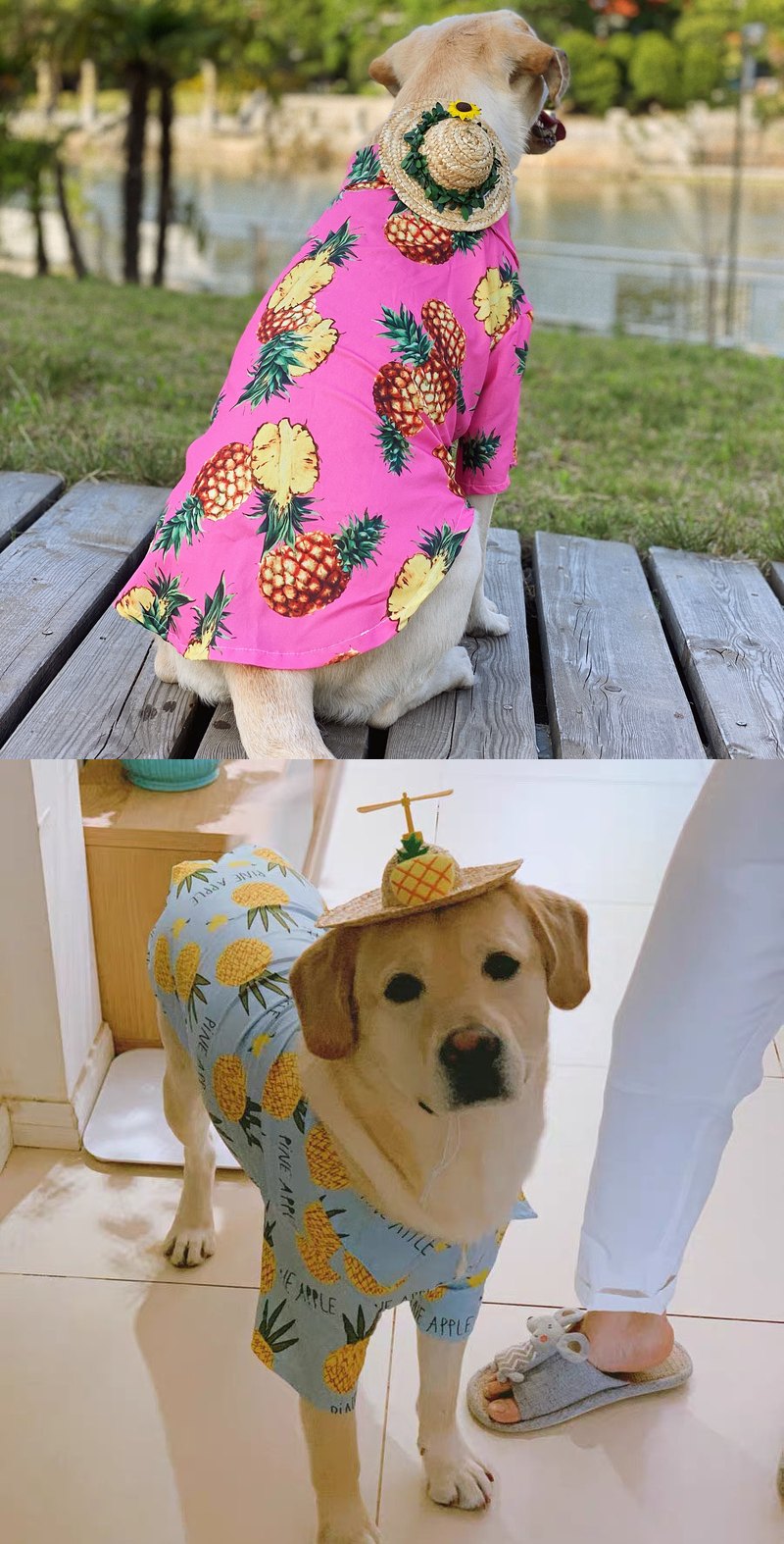 STAYPAW Summer Pineapple Breathable Sun Protection Dog Shirt for All Sizes - Detail 6