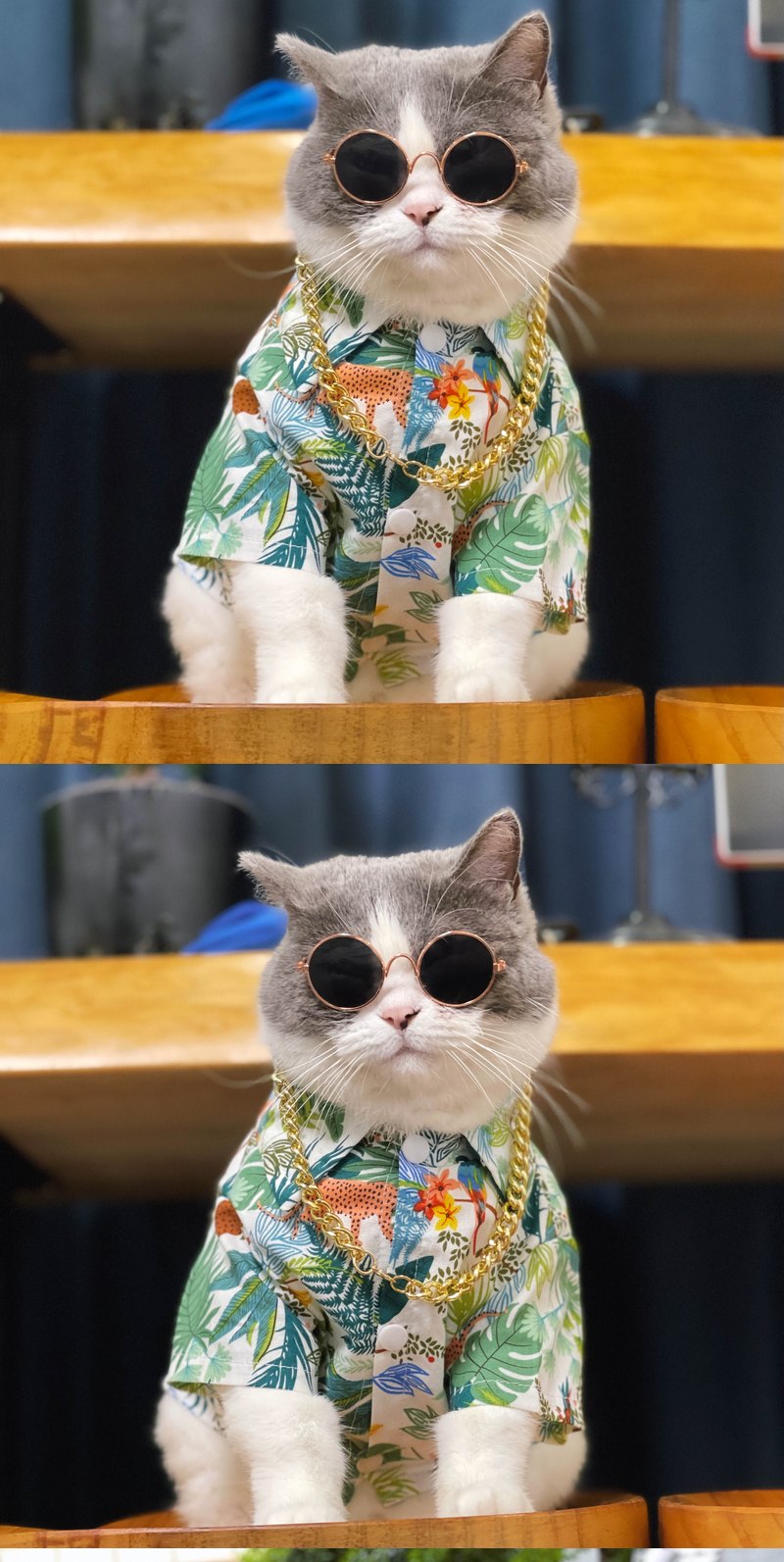 STAYPAW Breathable Tropical Dog Hawaiian Shirt Lightweight Sun & Rain Protection - Detail 5