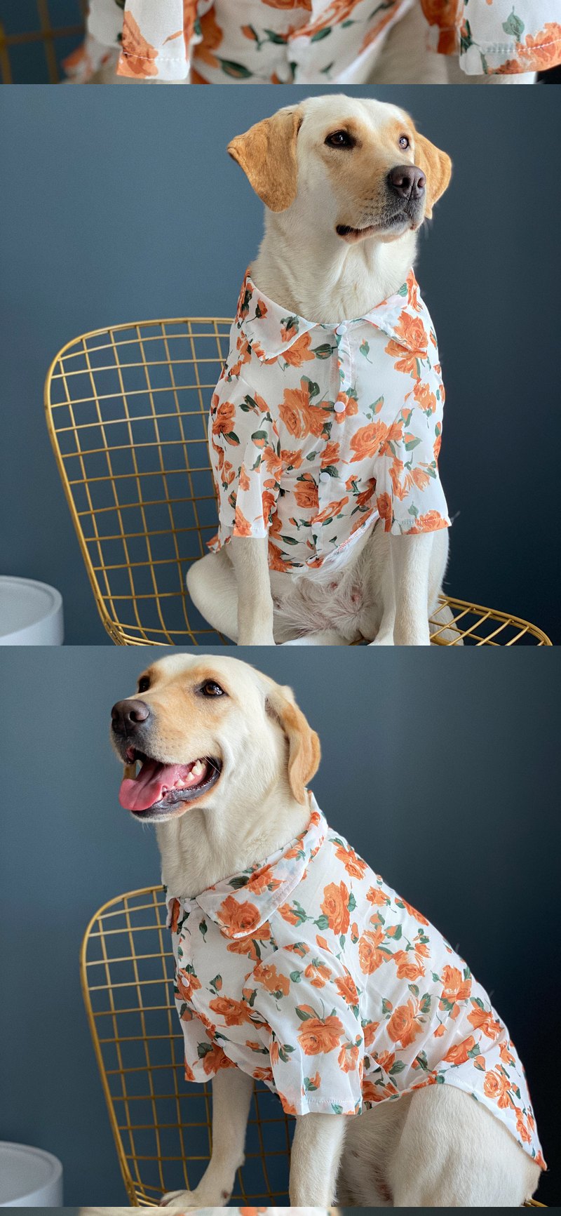 STAYPAW Lightweight Sun Protection Dog Shirt, Silky Summer Rose Print Floral Apparel - Detail 3