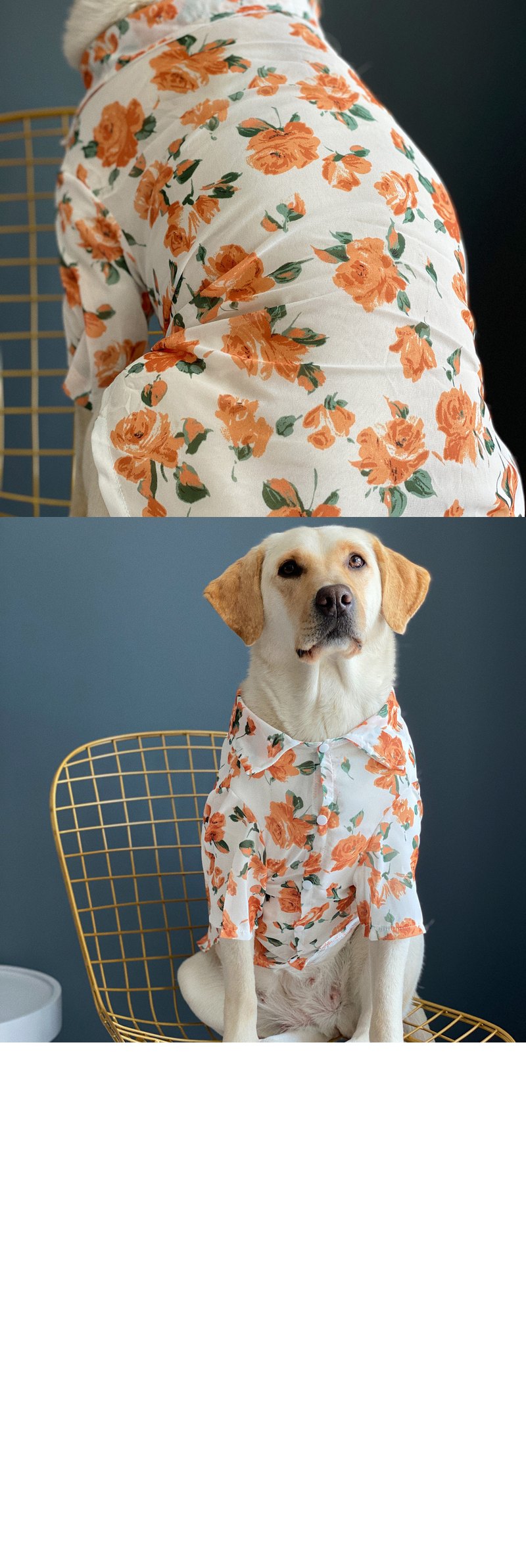 STAYPAW Lightweight Sun Protection Dog Shirt, Silky Summer Rose Print Floral Apparel - Detail 4