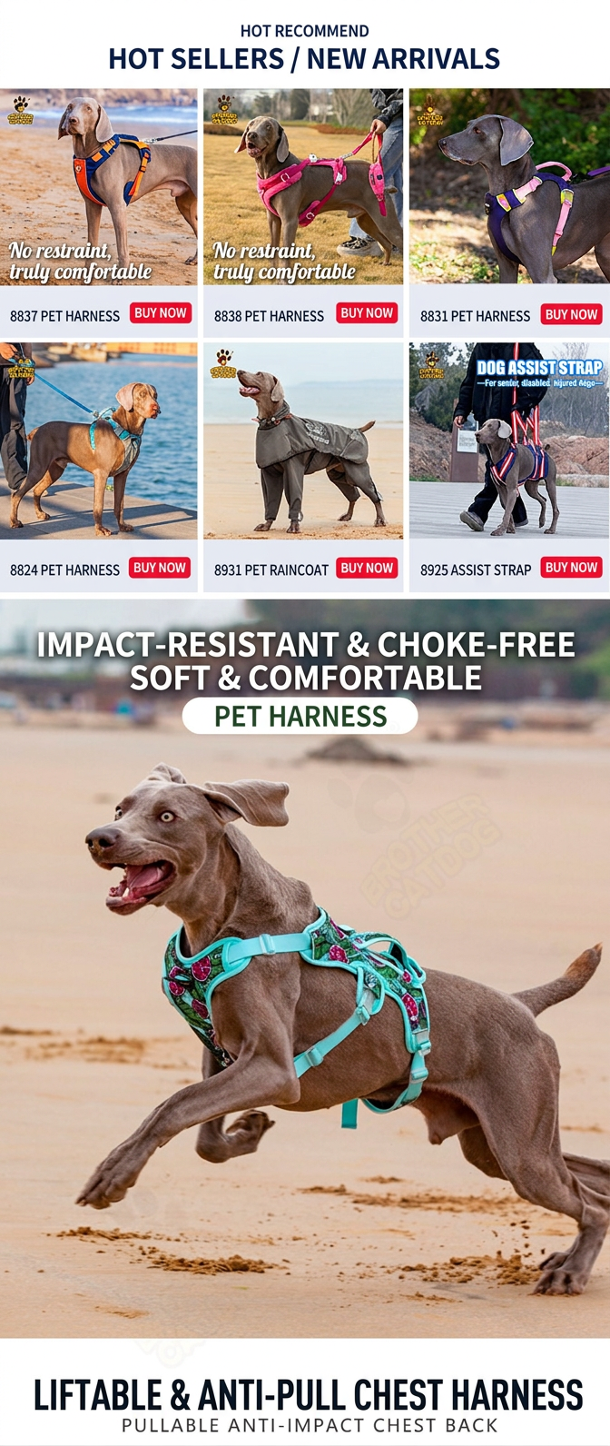 STAYPAW No-Pull Dog Harness Vest with Control Handle for Medium Large Dogs - Detail 1