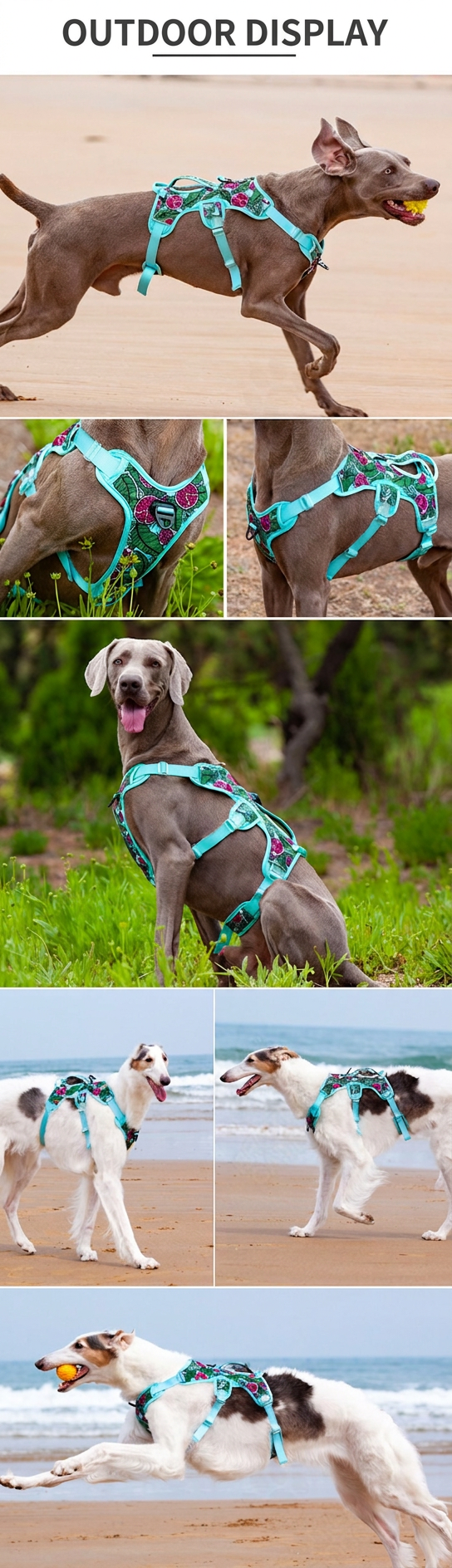 STAYPAW No-Pull Dog Harness Vest with Control Handle for Medium Large Dogs - Detail 5