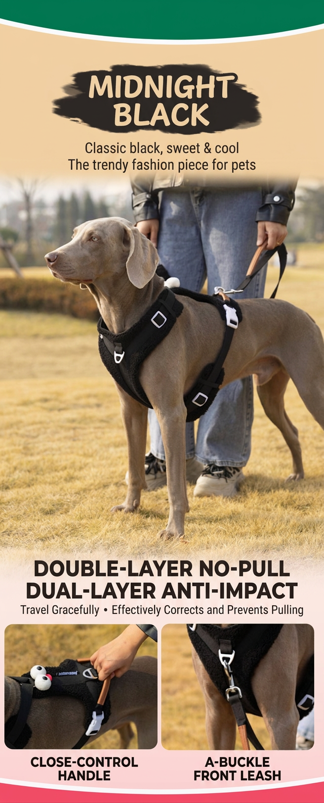 STAYPAW No-Pull Dog Harness and Leash Set Adjustable Padded Outdoor Vest - Detail 7
