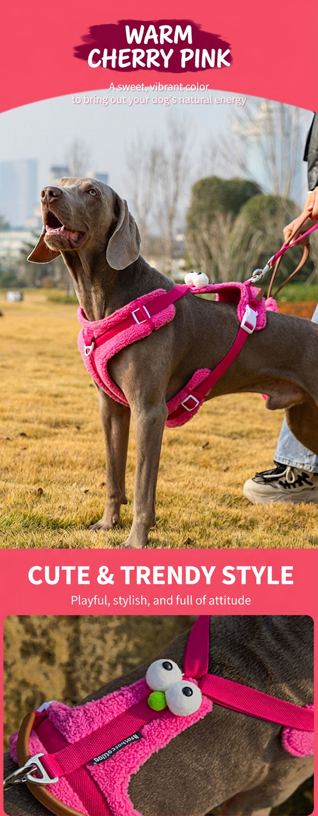 STAYPAW No-Pull Dog Harness and Leash Set Adjustable Padded Outdoor Vest - Detail 8