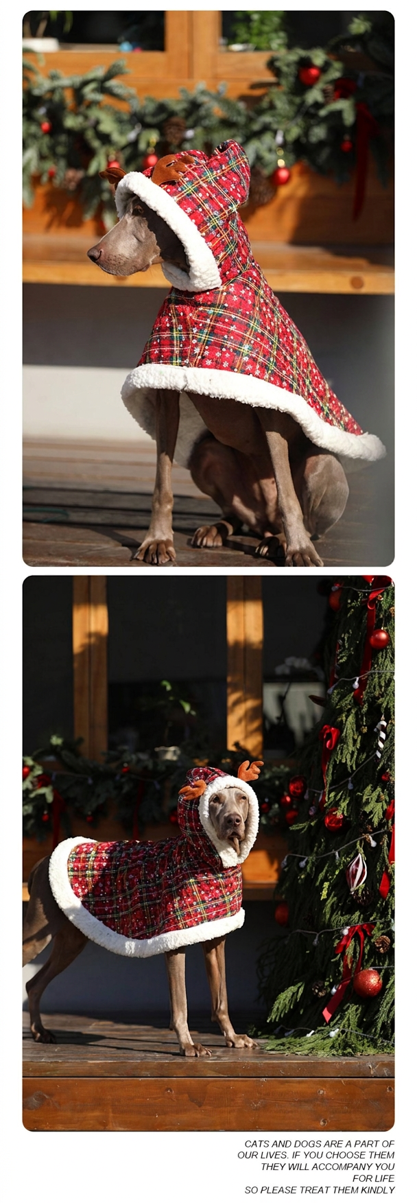 STAYPAW Dog Christmas Cloak, Warm Fleece-Lined Holiday Cape for Large Dogs - Detail 3