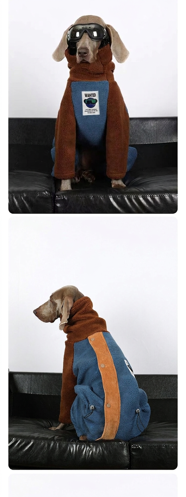 STAYPAW Large Dog Winter Fleece Bodysuit Warm Colorblock Four-Legged Jumpsuit - Detail 6