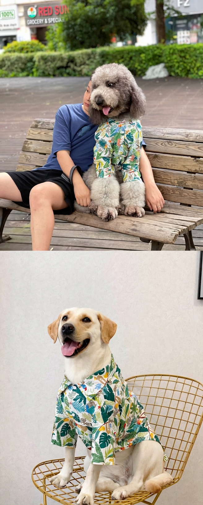 STAYPAW Breathable Tropical Dog Hawaiian Shirt Lightweight Sun & Rain Protection - Detail 6