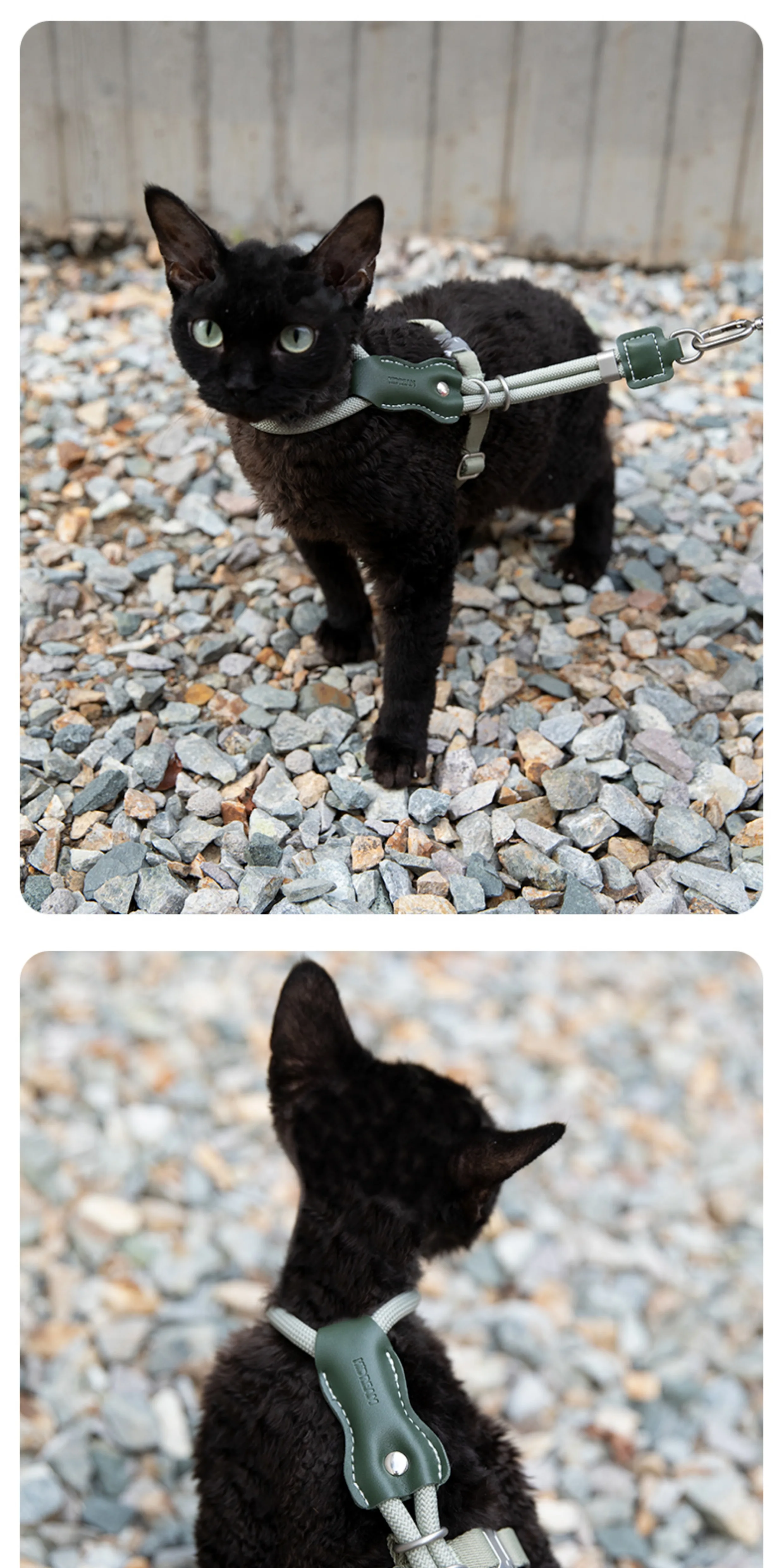 STAYPAW x HiDREAM Escape-Proof Cat Harness and Leash Set, Ultra-Lightweight Adjustable I-Shaped Vest - Detail 15