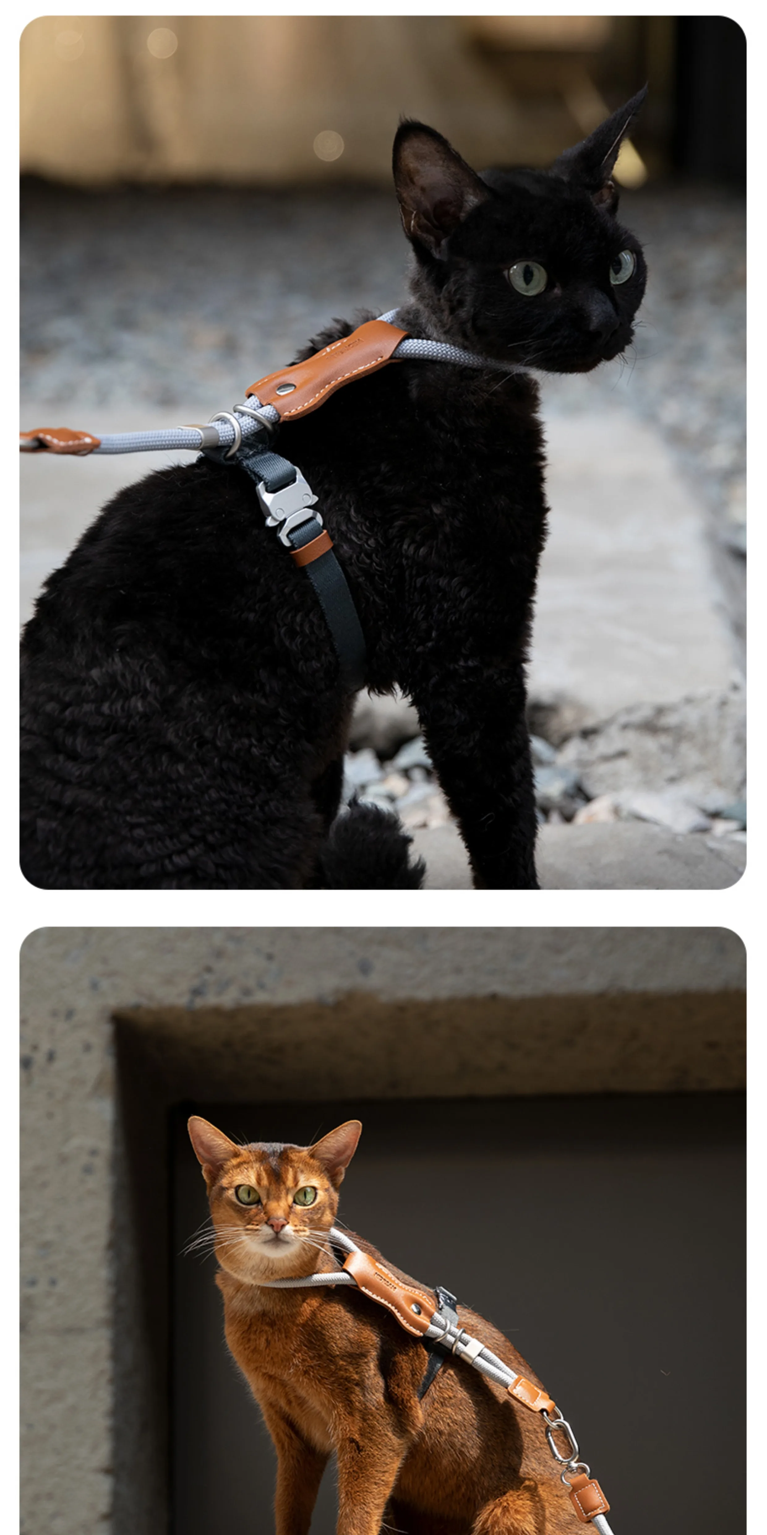 STAYPAW x HiDREAM Escape-Proof Cat Harness and Leash Set, Ultra-Lightweight Adjustable I-Shaped Vest - Detail 17