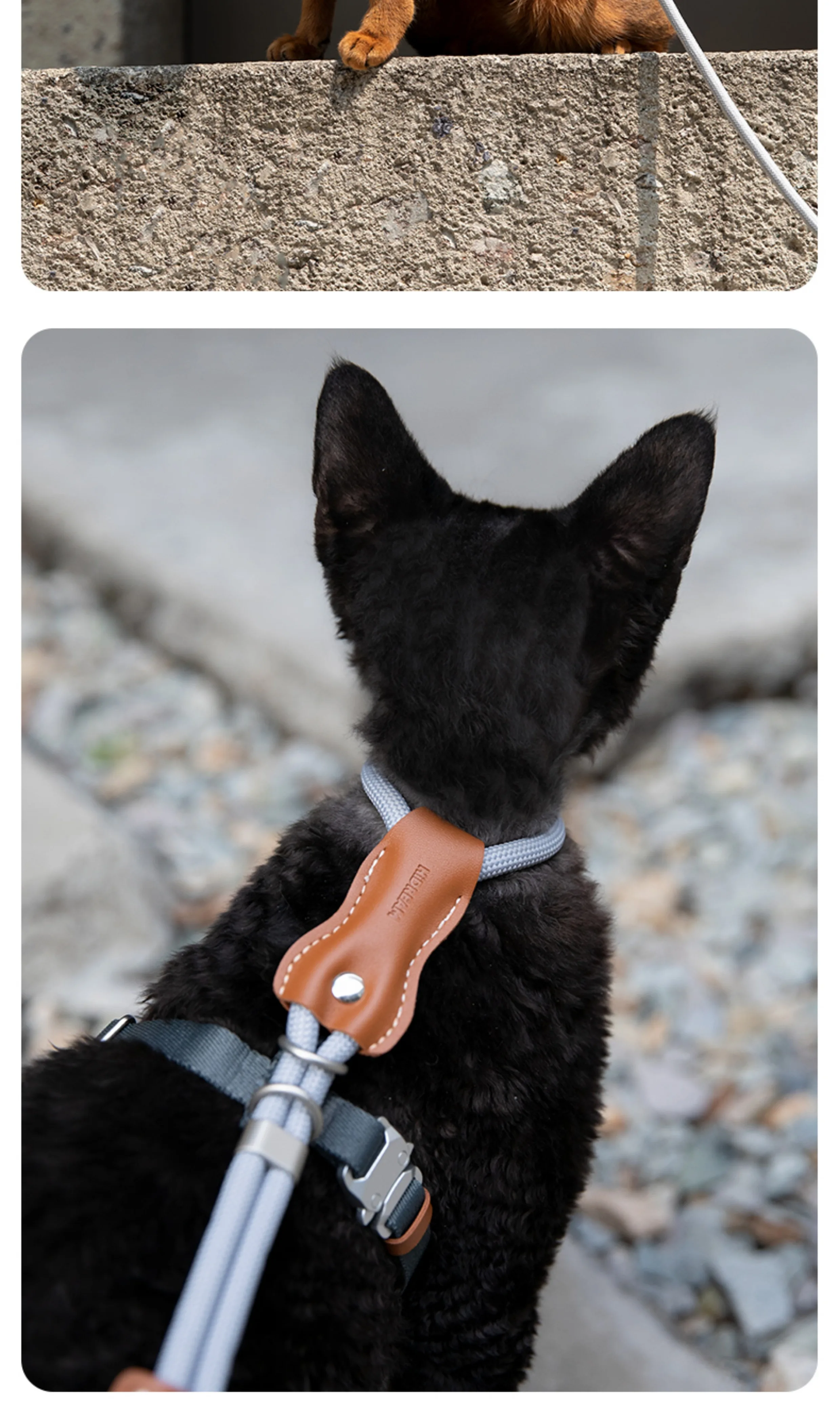 STAYPAW x HiDREAM Escape-Proof Cat Harness and Leash Set, Ultra-Lightweight Adjustable I-Shaped Vest - Detail 18