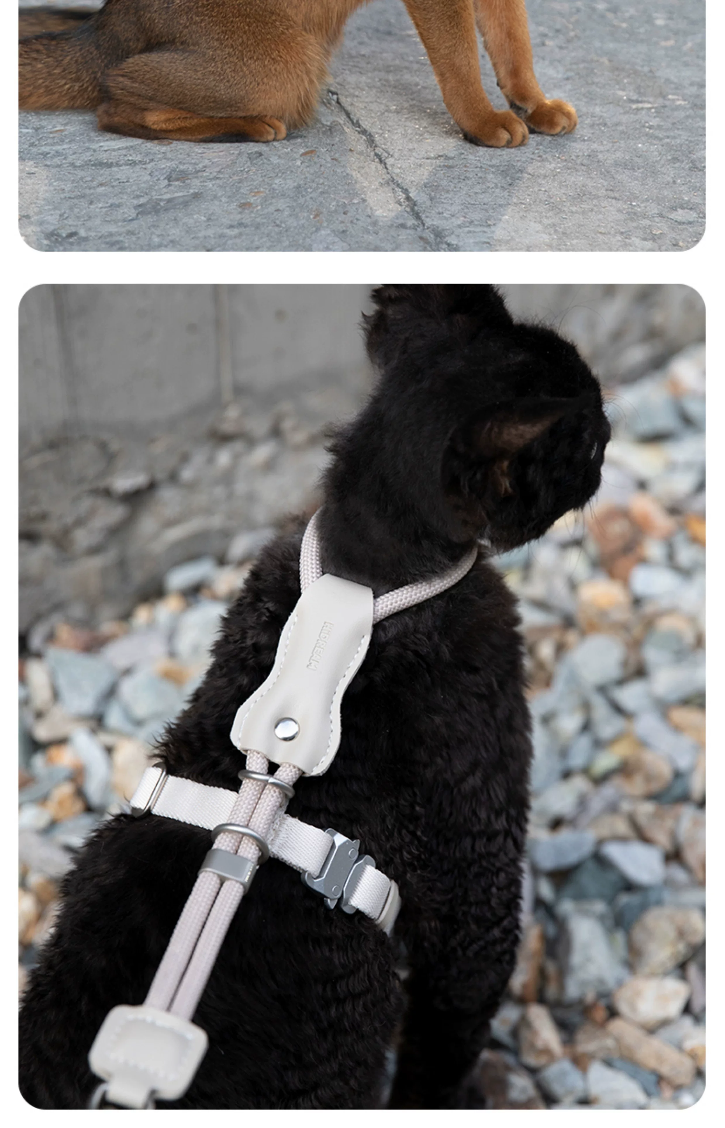 STAYPAW x HiDREAM Escape-Proof Cat Harness and Leash Set, Ultra-Lightweight Adjustable I-Shaped Vest - Detail 20