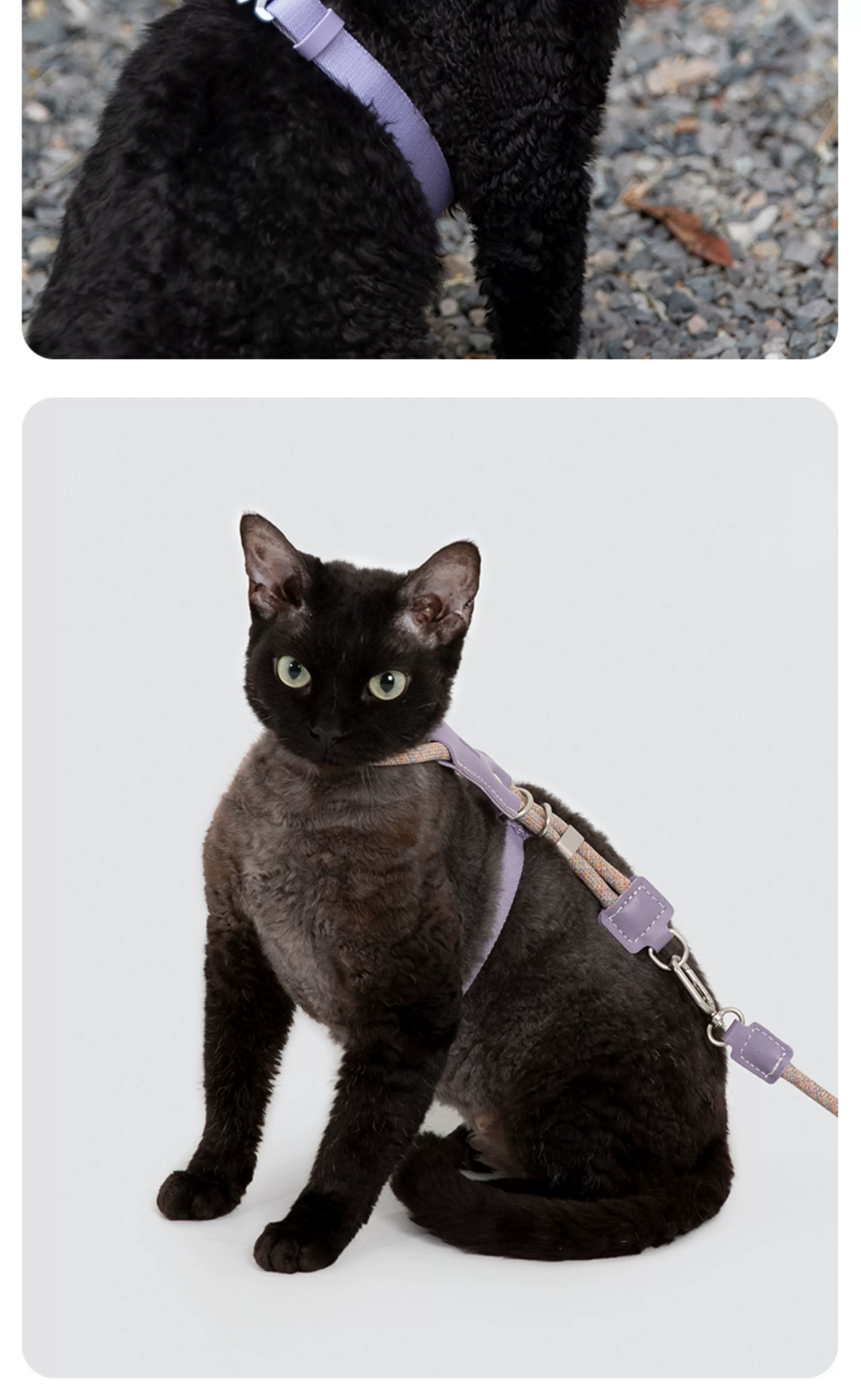 STAYPAW x HiDREAM Escape-Proof Cat Harness and Leash Set, Ultra-Lightweight Adjustable I-Shaped Vest - Detail 22